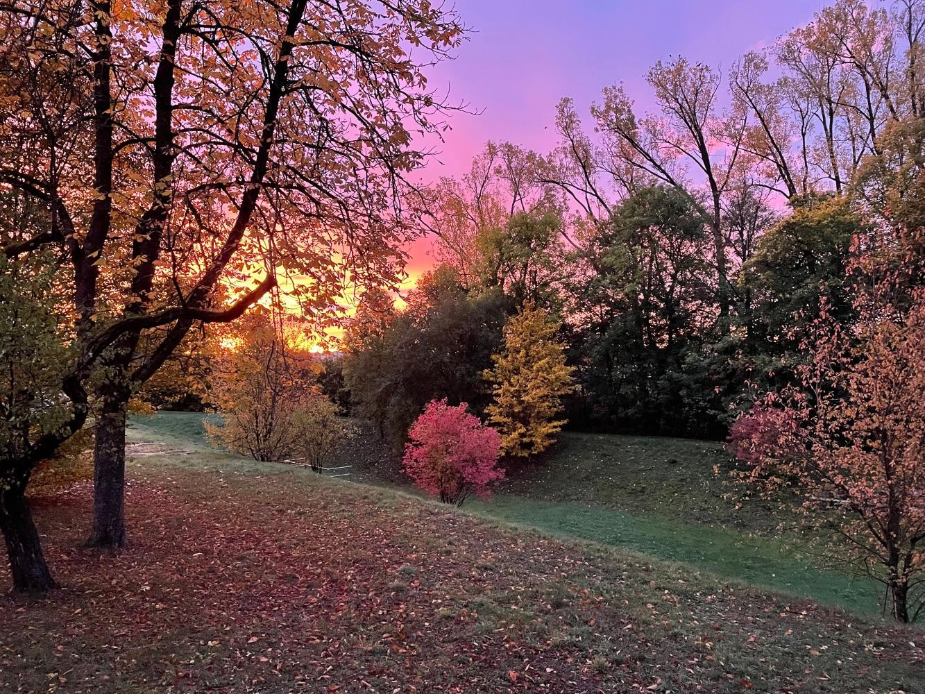 Herbst an der Musikschule